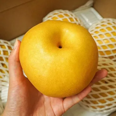 돌쇠네 아삭함과 당도는 기본 신고배 3kg