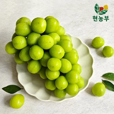 고당도 샤인머스켓 2kg 일반형 (2수~4수)