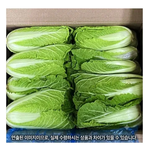 얼갈이배추 1박스
