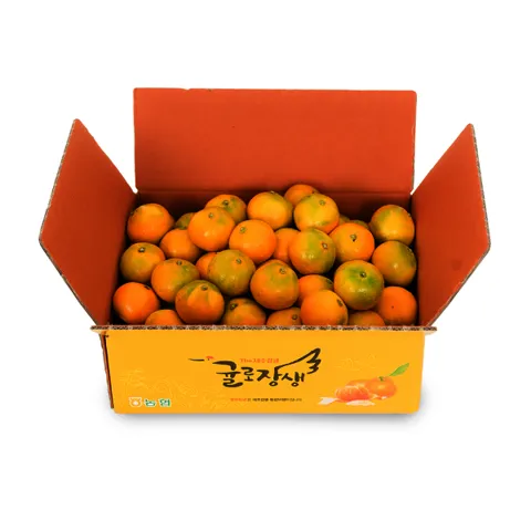 (신선집중) 제주농협 귤로장생 하우스감귤 4.5kg 소과