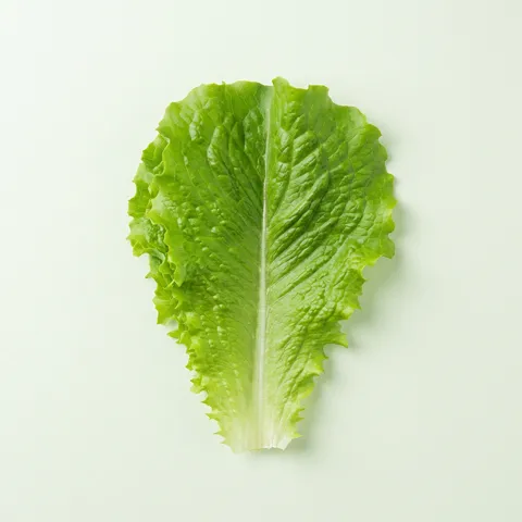 하루특가) 로메인 청상추, 1kg, 1박스