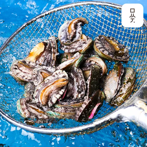 완도 전복 활전복 특대 1kg 6미 8미 10미 [원산지:국산(전라남도 완도군)]