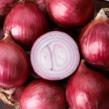무안 자색양파 3kg