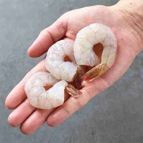 (신선집중) 칵테일 새우 대 900g 55-70미