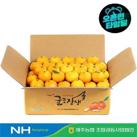 (신선집중) 제주농협 귤로장생 하우스감귤 4.5kg 소과
