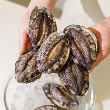 [별점 4.96 / 산지직송 : 전남진도] 1kg 진도 활전복 명절선물 아라전복 인간극장 진도 완도 [원산지:국산(전라남도 진도군)]