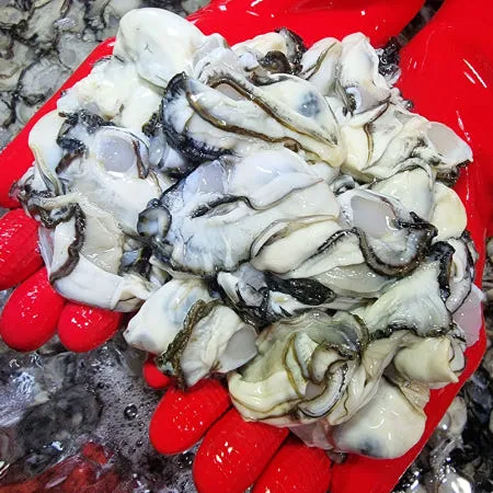 [별점 4.83 / 산지직송 : 경남통영] 평화수산 통영 생굴 1kg 제철 깐굴 통영 굴 [원산지:국산(경상남도 통영시)]