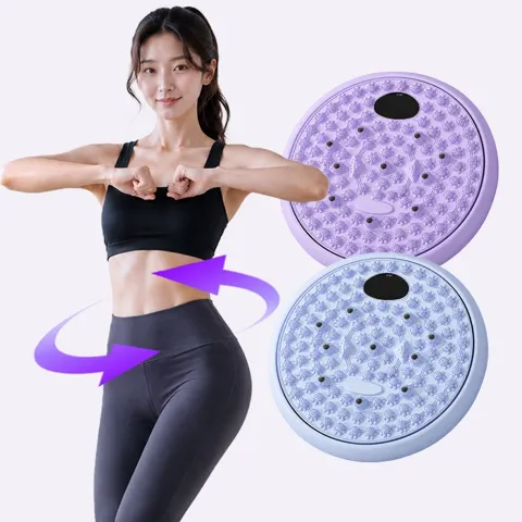 하루특가) 일공공구 다이어트 발지압 트위스트, 퍼플, 1개