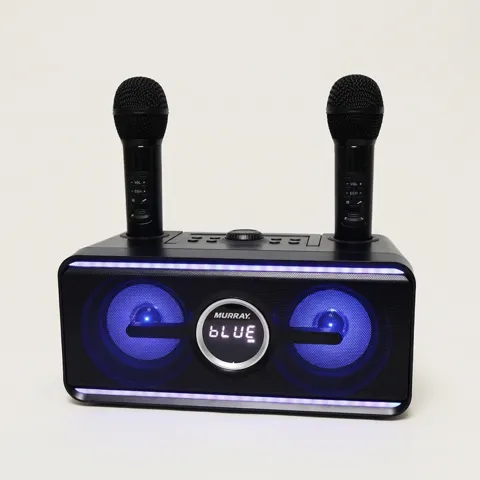 하루특가) 머레이 블루라인 블루투스 노래방 세트, 1세트