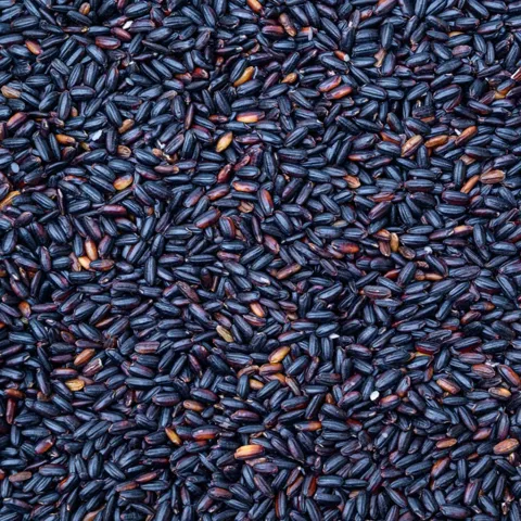 하루특가) 국내산 찰흑미, 500g, 4봉