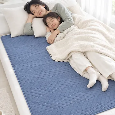 국내생산 카본 워셔블 디지털 전기요 전기담요/v2