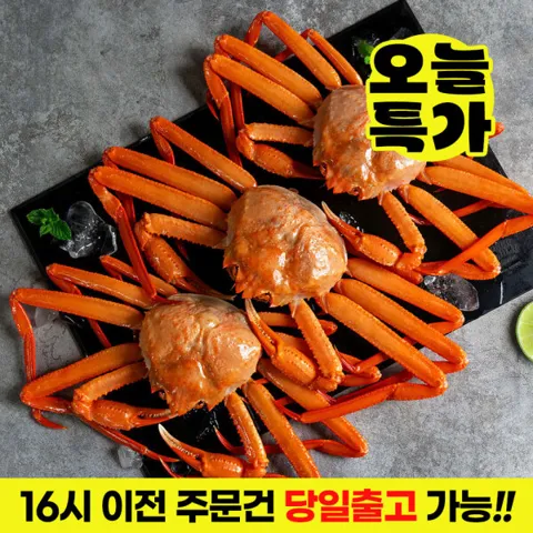 (목요특가) 금어기끝 홍게 시즌/이프로마켓 구룡포 연지 홍게 실속형 3kg 선주직송 수율보장