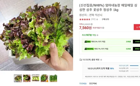 싱싱한 상추 꽃상추 청상추 1kg