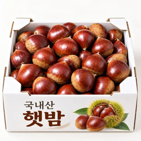 명품 공주 알밤 햇밤 2kg 중과/대과