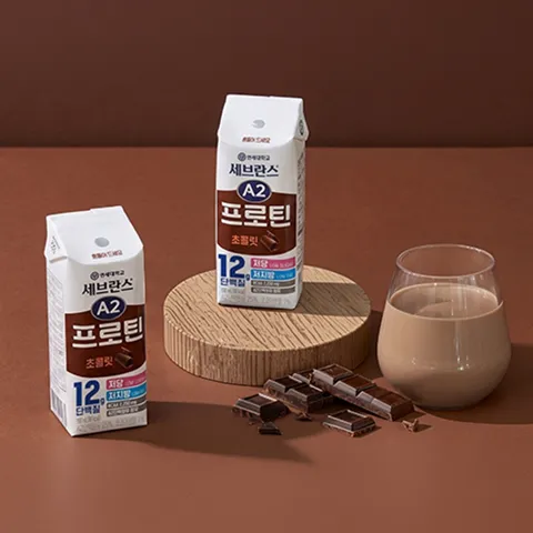 선착순특가) 연세우유 세브란스 A2 프로틴, 초콜릿, 190ml, 48개