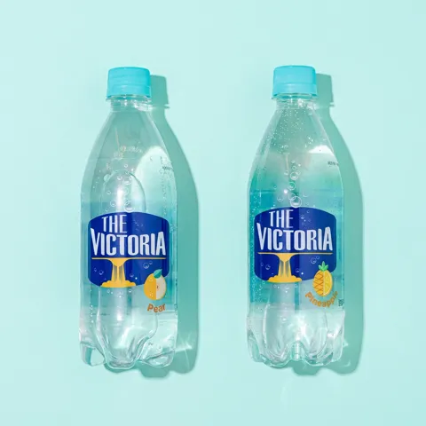 선착순특가) 웅진식품 더 빅토리아, 배 500ml 20개 + 파인애플 500ml 20개, 40개