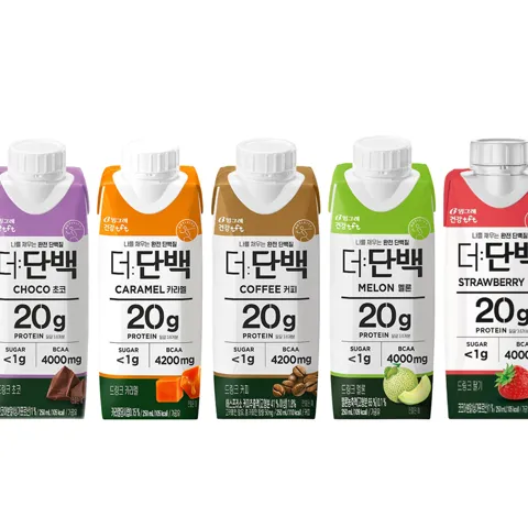 선착순특가) 빙그레 더단백 멜론 6개 + 초코 6개 + 딸기 6개, 250ml, 1세트
