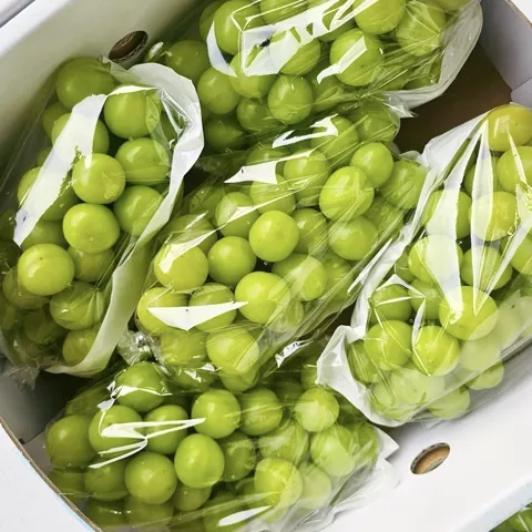 선착순특가) 프로프룻 샤인머스켓, 특품, 2kg, 1박스