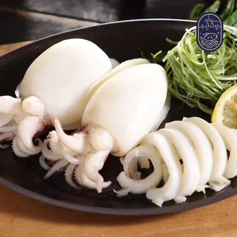 손질 통 갑오징어 600g(4-5마리) 3팩 + 만능볶음소스 50g 5팩