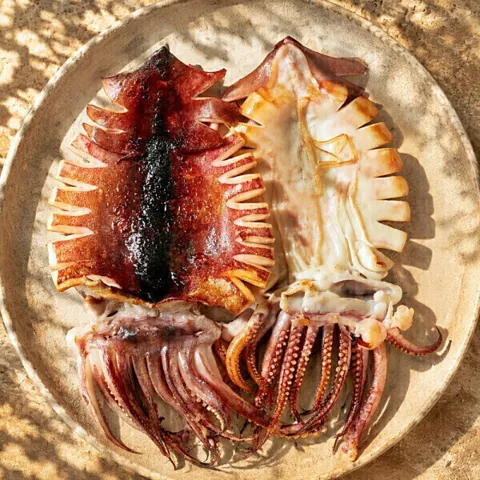 사은품 증정 행사) 8% 맛있는 오동통 구룡포 반건조 오징어 5마리 (450g 내외) +혼술안주1팩+소스3종 사은품