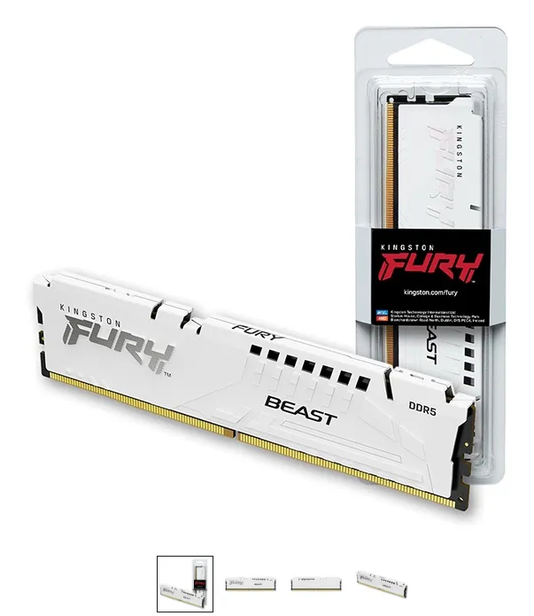 Kingston FURY DDR5 PC5-44800 CL36 Beast [32GB] 화이트 코잇(5600)